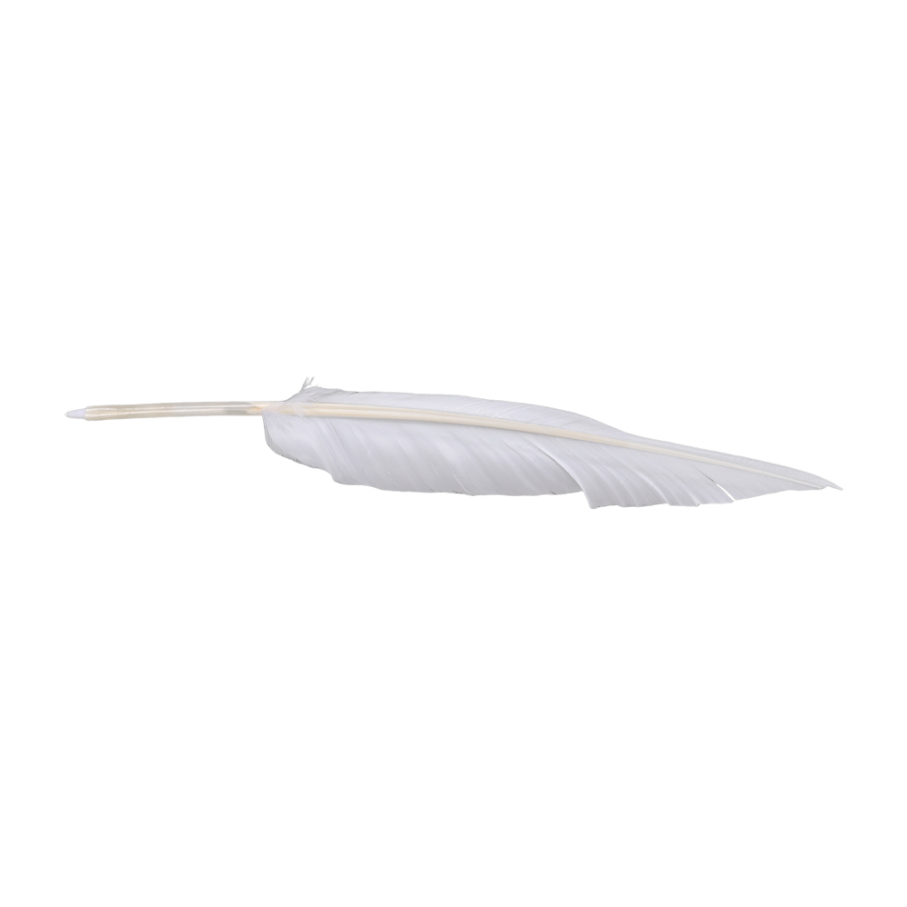 Anime Sousou of Frieren Cospla - Frieren Cosplay Prop บทวิจารณ์และราคา
