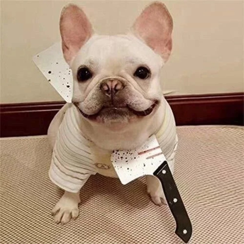 1 Pcs Dog/Cat/Pet Halloween Fu - Cosplay Prop Knife บทวิจารณ์และราคา