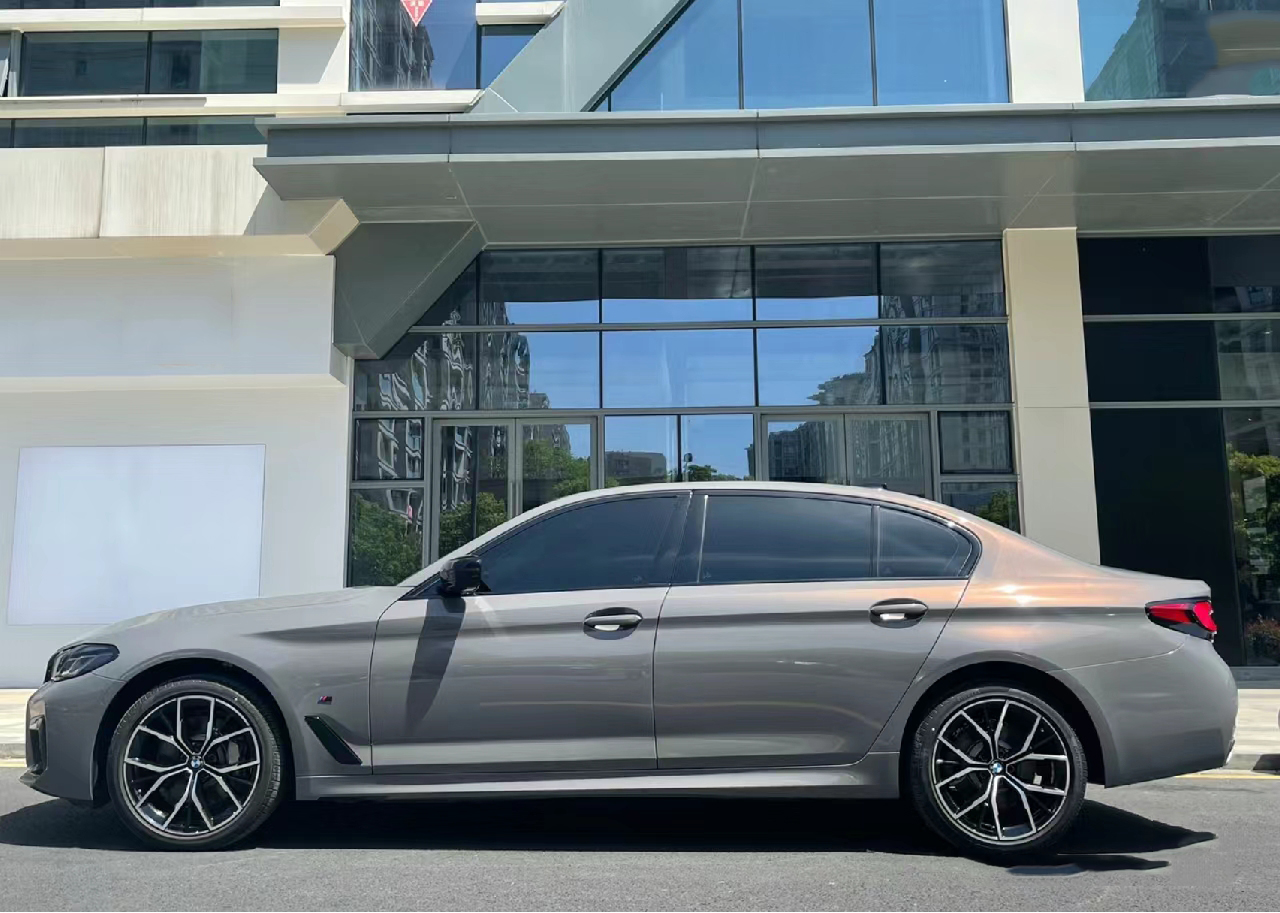 PET Backing Paint Protection S - Metallic Spray Paint บทวิจารณ์และราคา