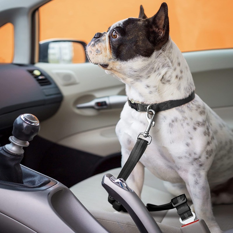 Retractable Dog Car Harness Se - Snap Fastener Set บทวิจารณ์และราคา